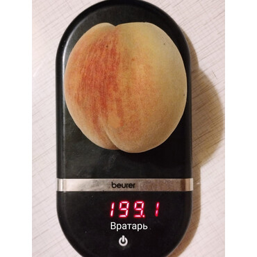 Персик Вратарь 2 года, С10